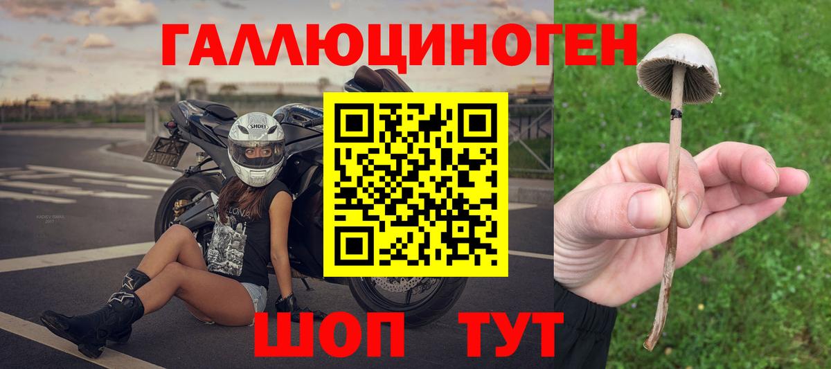 Медногорск  Псилоцибиновые грибы прущие грибы  Вход с VPN 